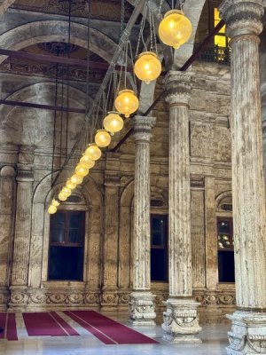 IMG_0984.jpeg