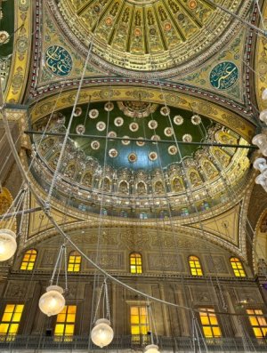 IMG_1078.jpeg