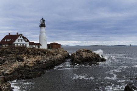 DSC_2239.jpg