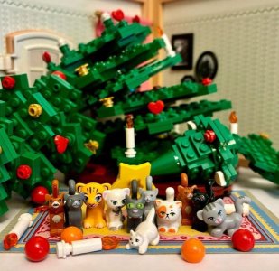 IMG_3211.jpeg