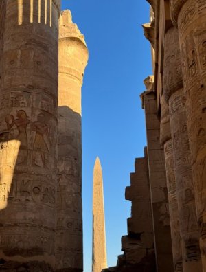 IMG_2200.jpeg