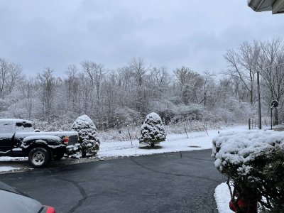IMG_2942.jpeg