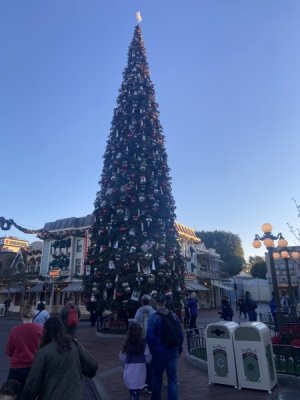 IMG_7700.jpeg IMG_7700.jpeg
