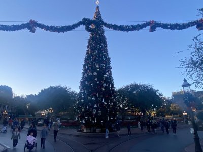 IMG_7702.jpeg IMG_7702.jpeg