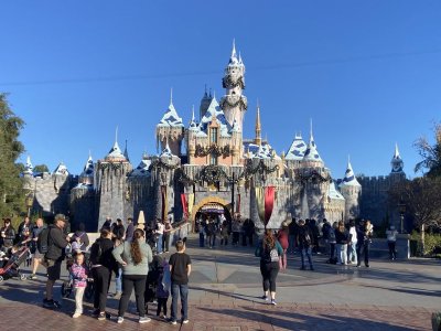 IMG_7719.jpeg IMG_7719.jpeg