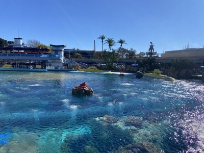 IMG_7726.jpeg