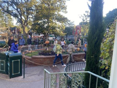 IMG_7714.jpeg