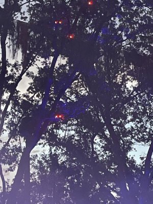 IMG_7892.jpeg
