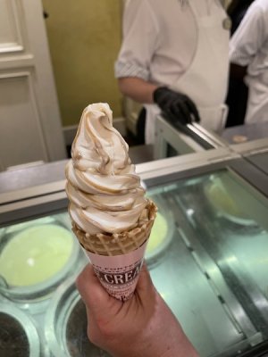 IMG_7899.jpeg