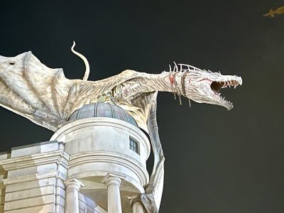 IMG_7906.jpeg
