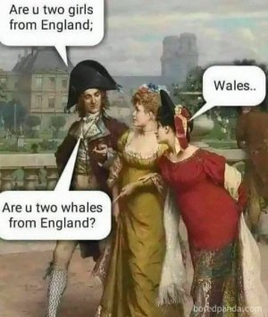 IMG_3642.jpeg