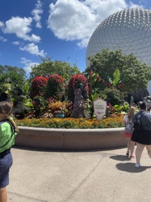 E3D65874-6A5D-453F-BBE8-BB3A231250C2_1_105_c.jpeg