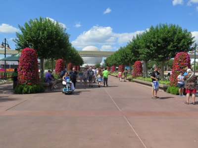 IMG_3205.JPG