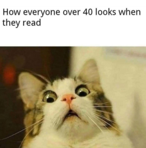 1704776941820.png