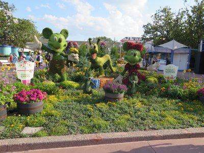 IMG_3207.JPG