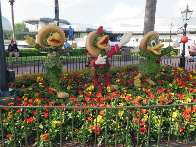IMG_3208.JPG