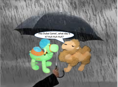 IMG_3011.png