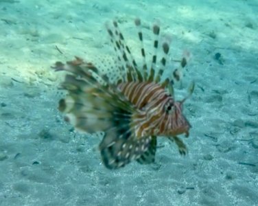 IMG_2662.jpeg