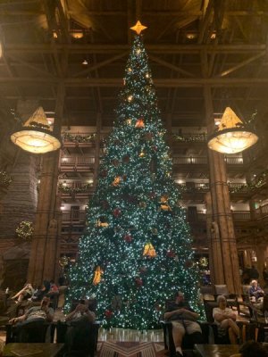 IMG_4396.jpeg IMG_4396.jpeg