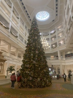 IMG_4412.jpeg