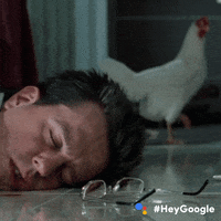 1705169108929.gif