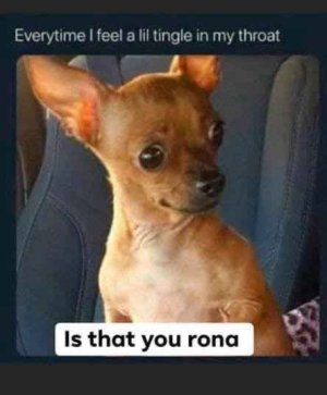 IMG_3700.jpeg
