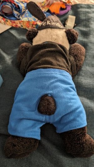 1000003382.jpg