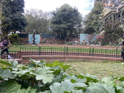 IMG_7814.jpeg