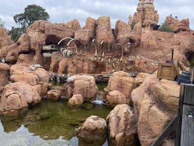 IMG_7819.jpeg