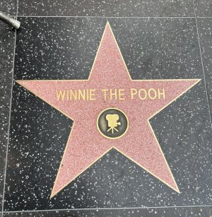 IMG_1775.jpeg