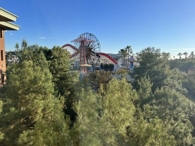 IMG_4151.jpeg