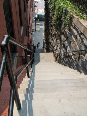 IMG_3695.jpeg