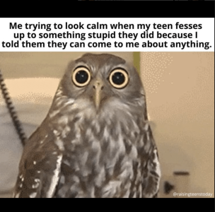 1705508759338.png