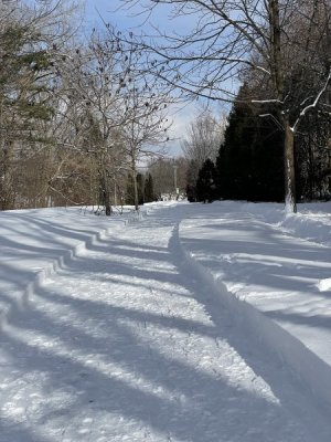 IMG_4919.jpeg