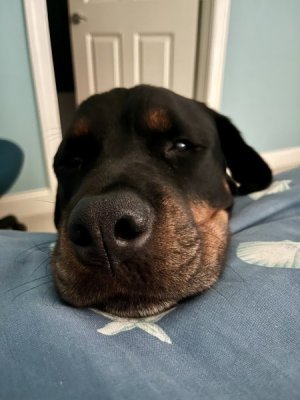 attentions plz.jpg