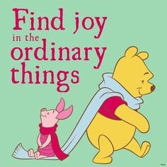 joy in the ordinary.jpg