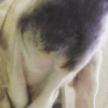1705690880386.gif