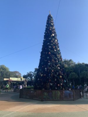 IMG_4421.jpeg