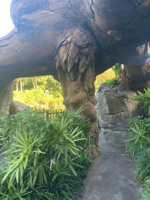 IMG_4428.jpeg