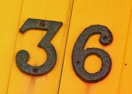 36.jpg