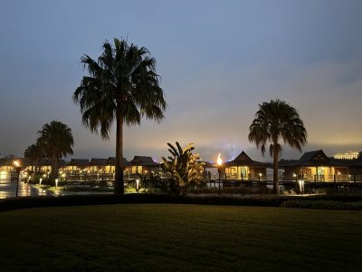 IMG_3751.jpeg