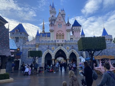 IMG_7951.jpeg IMG_7951.jpeg