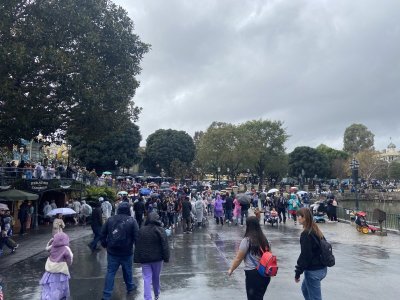 IMG_7966.jpeg
