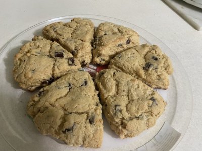 IMG_0124.jpeg