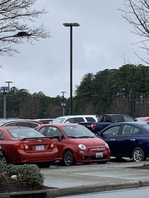 IMG_8109.jpeg IMG_8109.jpeg