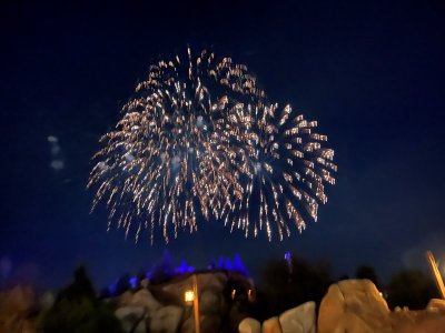 fireworks.jpg