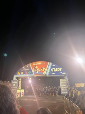IMG_3542.jpeg