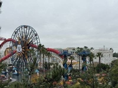 IMG_0155.jpeg