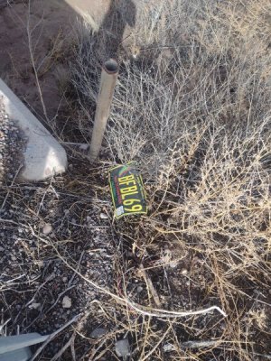 new mex.jpg