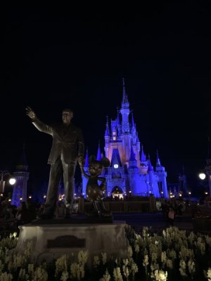 IMG_8243.jpeg